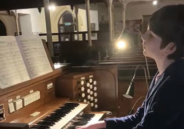 Organ